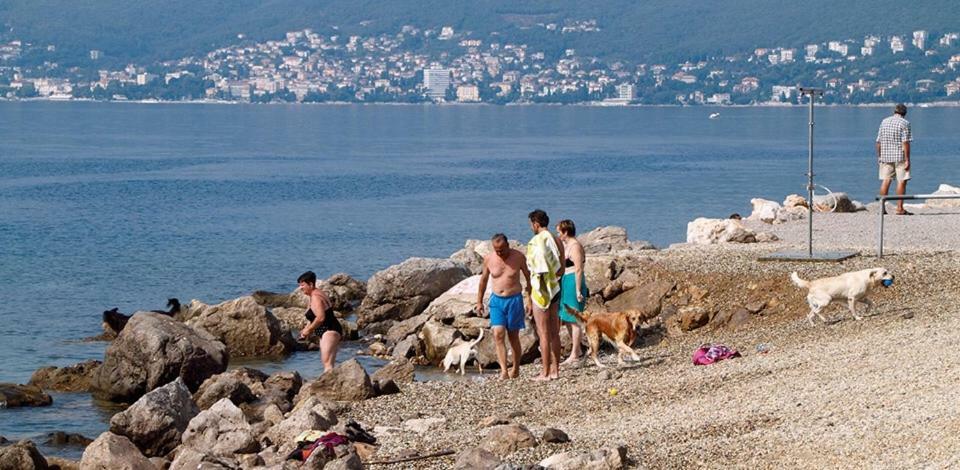 Apartman Andi Rijeka Eksteriør billede